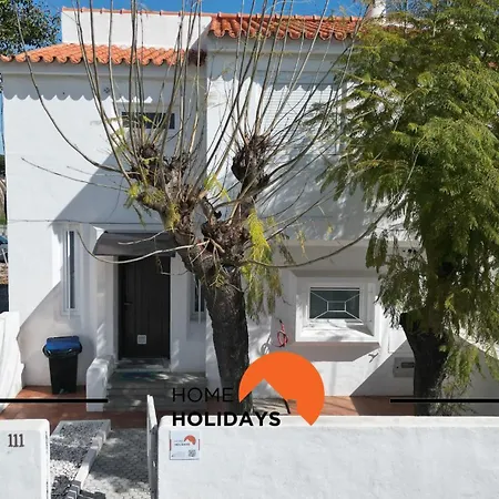 Willa #268 Marvellous Sapphire *